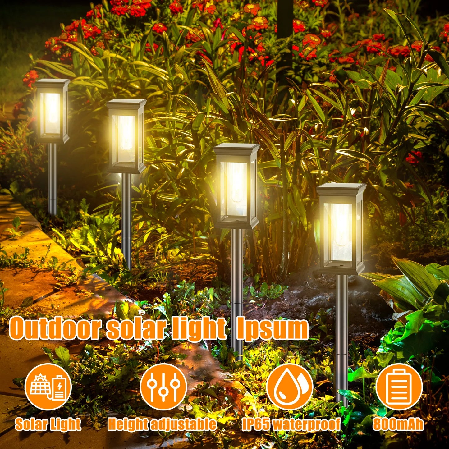 Solar Pathway LED Lights